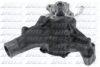 DOLZ C600 Water Pump